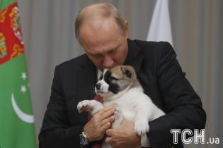 Подаренный Путину песик убежал после президентского поцелуя