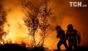 Їдкий дим та суцільні згарища: Португалія не може подолати лісові пожежі