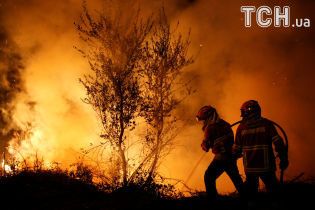 Едкий дым и пепелища: Португалия не может побороть лесные пожары
