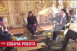 Лабрадор Макрона прервал официальную встречу, "напрудив" в камин