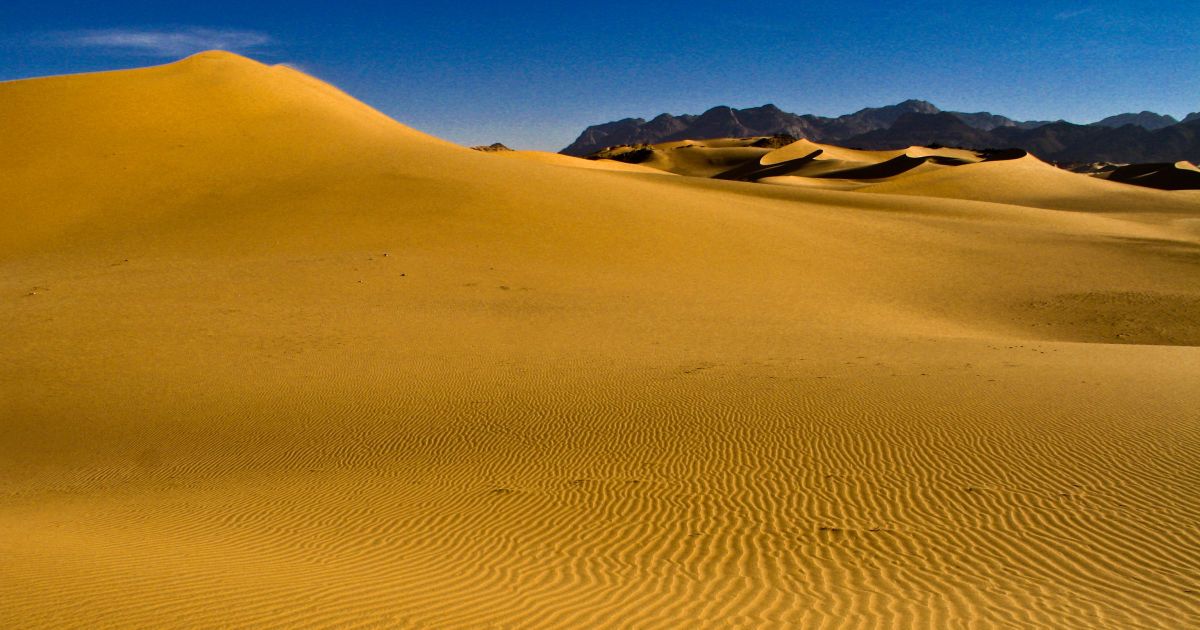 Количество погибших в Сахаре мигрантов может вдвое превысить смертность в Средиземном море