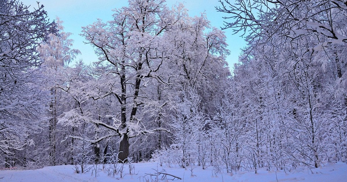 У частині України погодні умови суттєво погіршаться