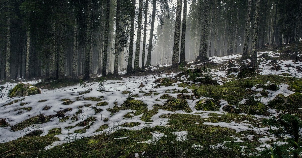 Погода зіпсується