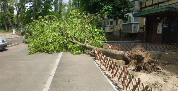 Фото: "Дніпро Обласний"