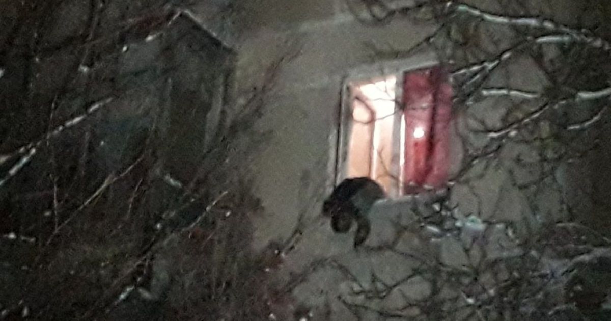 Вибух в Маріуполі_1 / © Сайт города Мариуполь