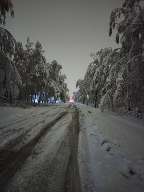 В Росії випав сильний сніг / Фото: Telegram / ©