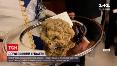 Новости мира: в Италии за 103 тысячи евро продали огромный белый трюфель