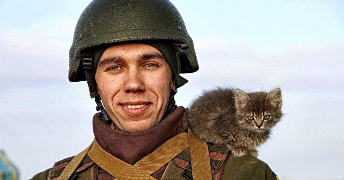 Артисти, співаки, телеведучі та спортсмени записали відеопривітання бійцям на передовій з Днем ЗСУ