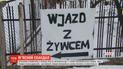 Мясо больных коров из Польши могло попасть в 11 государств ЕС - СМИ