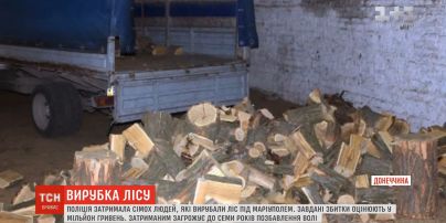 Полицейские задержали семерых человек, которые незаконно вырубили лес под Мариуполем