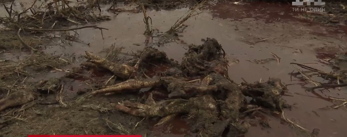 "Хай нюхають, сволота!": селян обурив запис розмови менеджерів "Гаврилівських курчат" про скандальні відходи