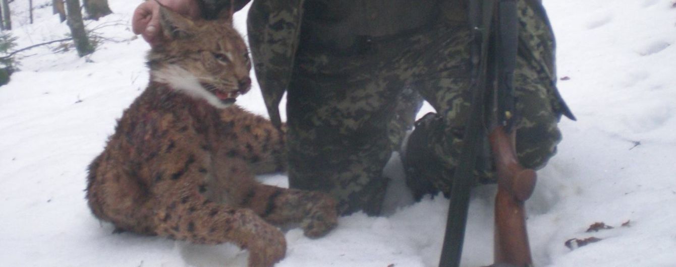 Резонансные фото егерей с пойманной рысью опубликовал лесник, чей отец подозревается в браконьерстве