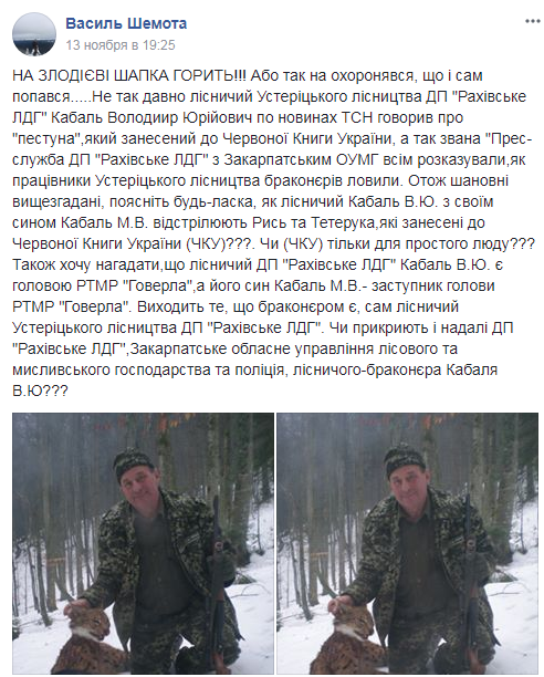 рись