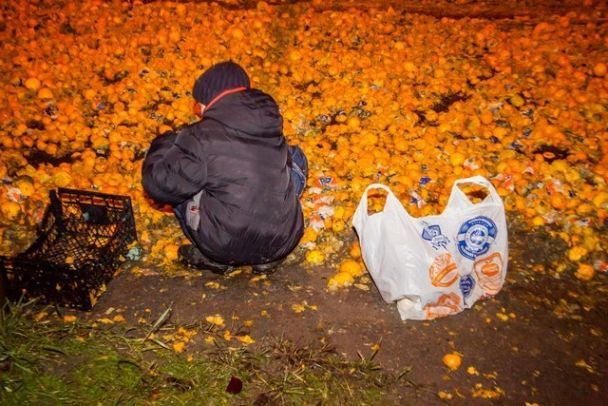 Тонны мандаринов прямо на дороге: в Днепре фура потеряла часть груза