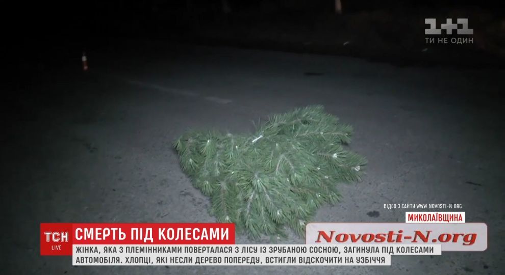 В Николаеве женщина погибла под колесами авто с украденной елкой