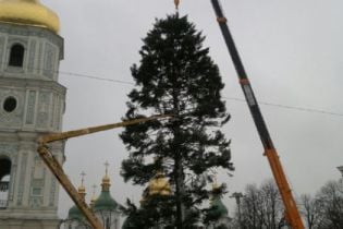 "Лысое бревно": пользователи соцсетей поглумились над главной елкой страны