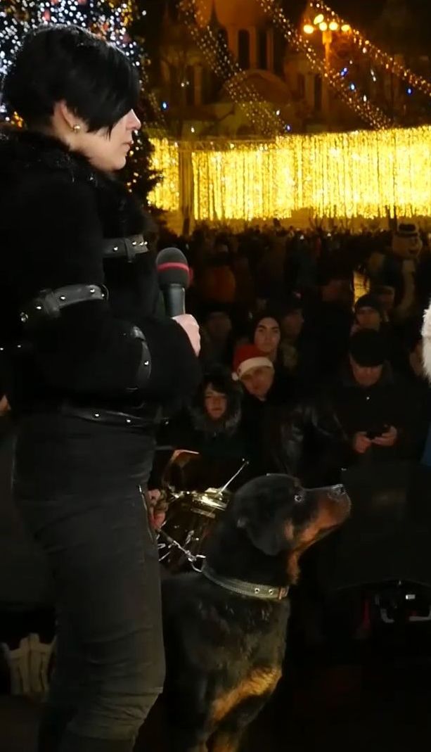 ТСН згадала найбільш вражаючі історії собачої відданості