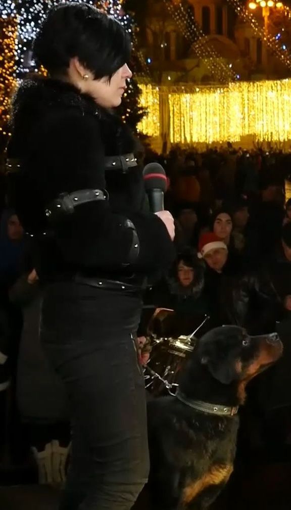 ТСН вспомнила самые впечатляющие истории собачьей преданности