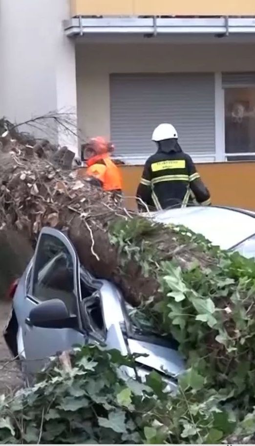 Перекинуті авто, затоплені вулиці, відсутність світла - Європою гуляє ураган "Елеонора"