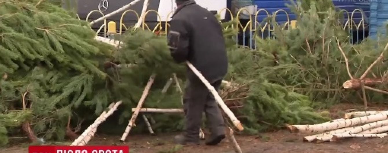 Кияни об’єднуються, щоб самотужки прибрати численні "ялинкові цвинтарі"