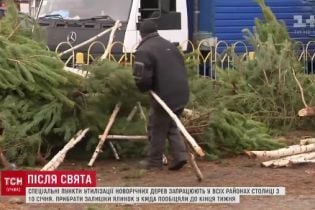Кияни об’єднуються, щоб самотужки прибрати численні "ялинкові цвинтарі"