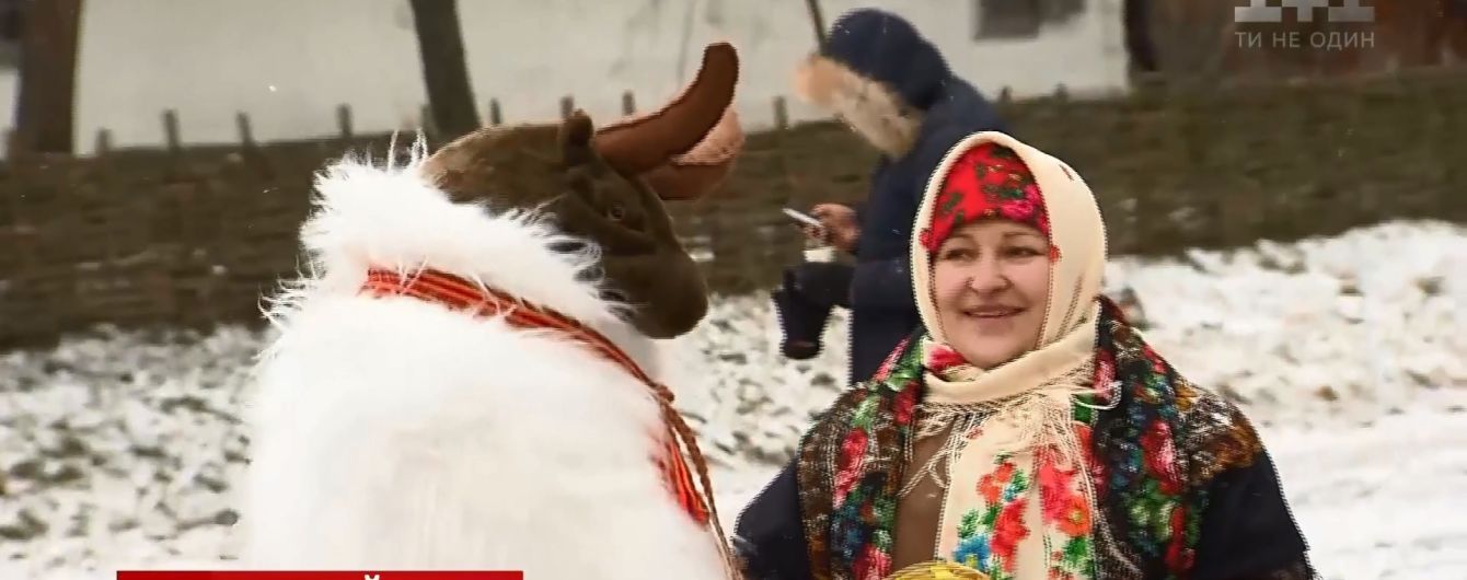 Щедрый вечер по-современному: коза в уггах и 40-градусная вода с салом