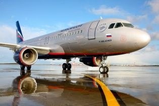 В самолете "Аэрофлота" погибли двое породистых кошек