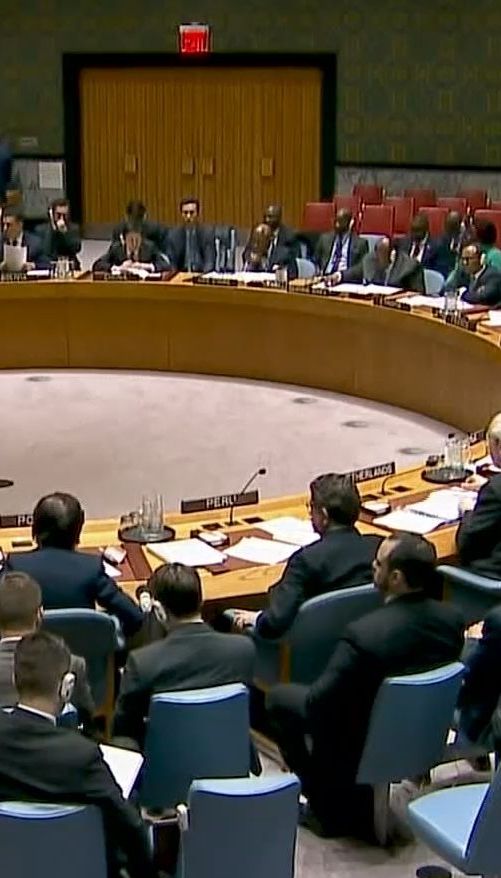 Россия заблокировала совместное заявление Совбеза ООН, осуждающее применение химического оружия в Сирии