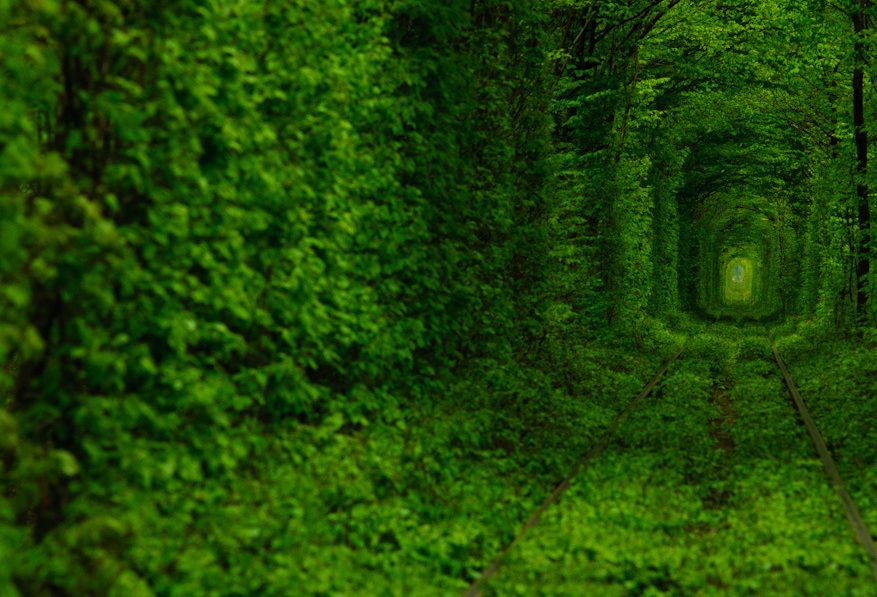 тоннель любви