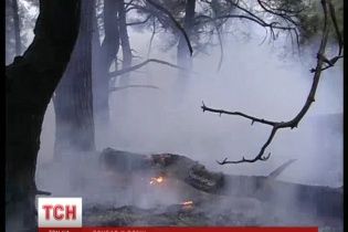 Спричинені бойовиками лісові пожежі безжально випалюють "легені" Донбасу
