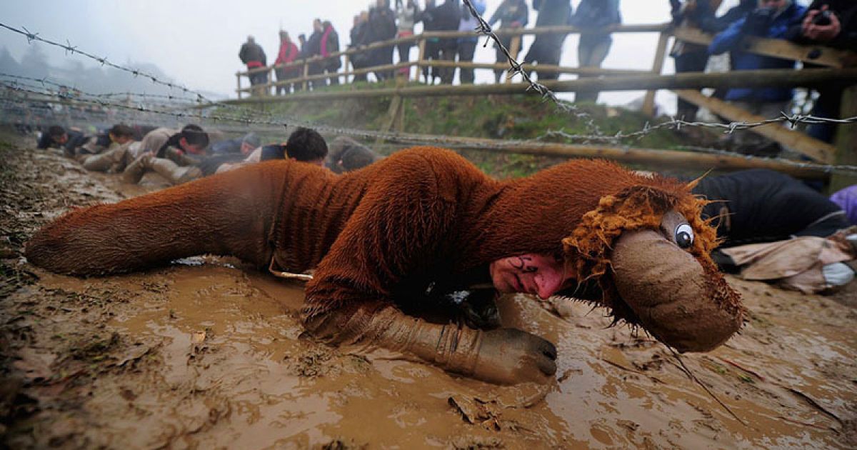 ��� ���� ������ �������� ����