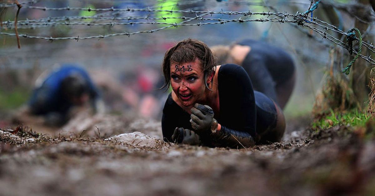 ��� ���� ������ �������� ����