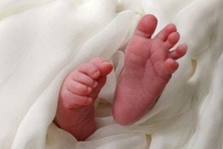 В Донецке родились сиамские близнецы с одной печенью