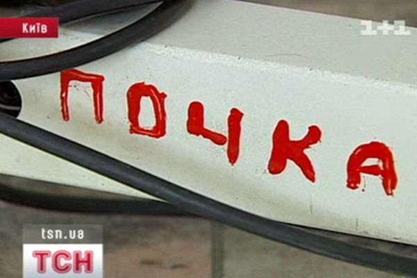 Нирка