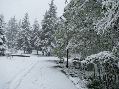 Весенний снегопад фото