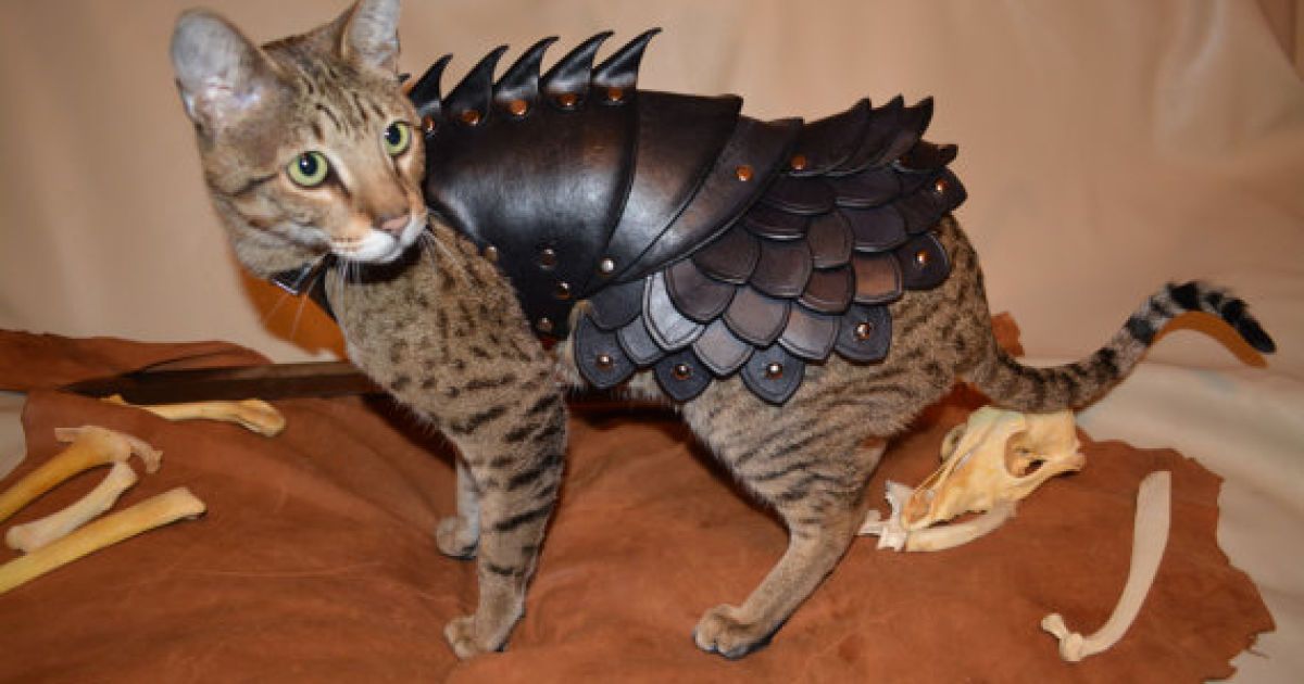 Похожее изображение