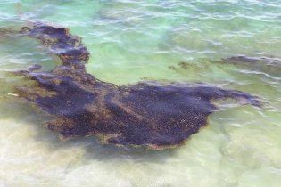 Судно ЧФ Росії забруднило нафтою Чорне море біля Феодосії