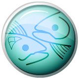 Знаки зодіаку_3