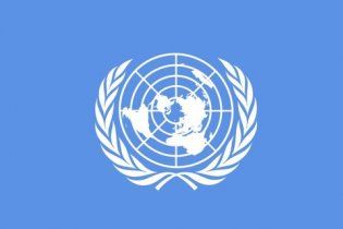 Онлайн трансляция заседания Совета Безопасности ООН по Украине