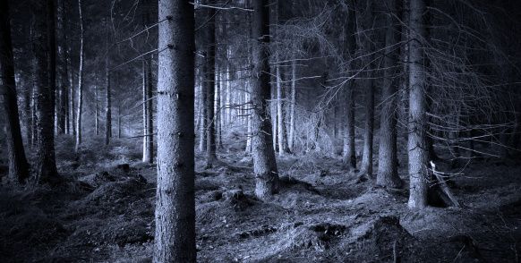 кошмар_1