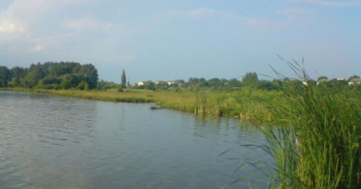 На Львовщине в водохранилище нашли женщину с набитой камнями сумкой на шее