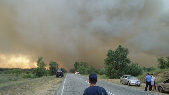 Лісова пожежа на Херсонщині