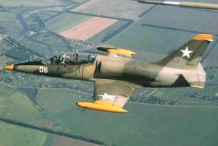 Неподалік від місця падіння Л-39 в Азовському морі знайшли частини тіла - ЗМІ