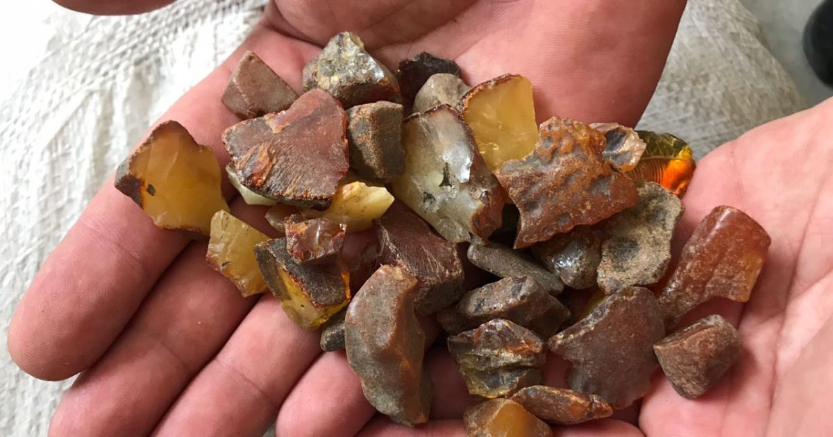 На Волыни янтарь начало добывать коммунальное предприятие: как изменилась ситуация