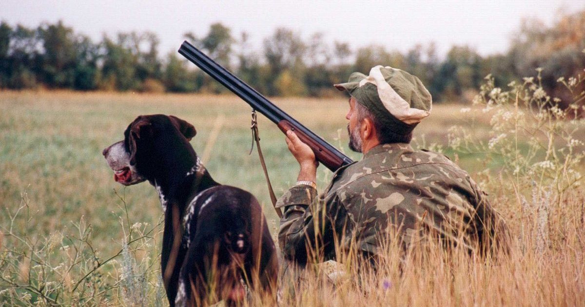 Під Києвом у лісі з мисливських рушниць розстріляли двох пенсіонерів