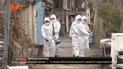 Количество инфицированных коронавирусом в мире уже более 92 тысяч