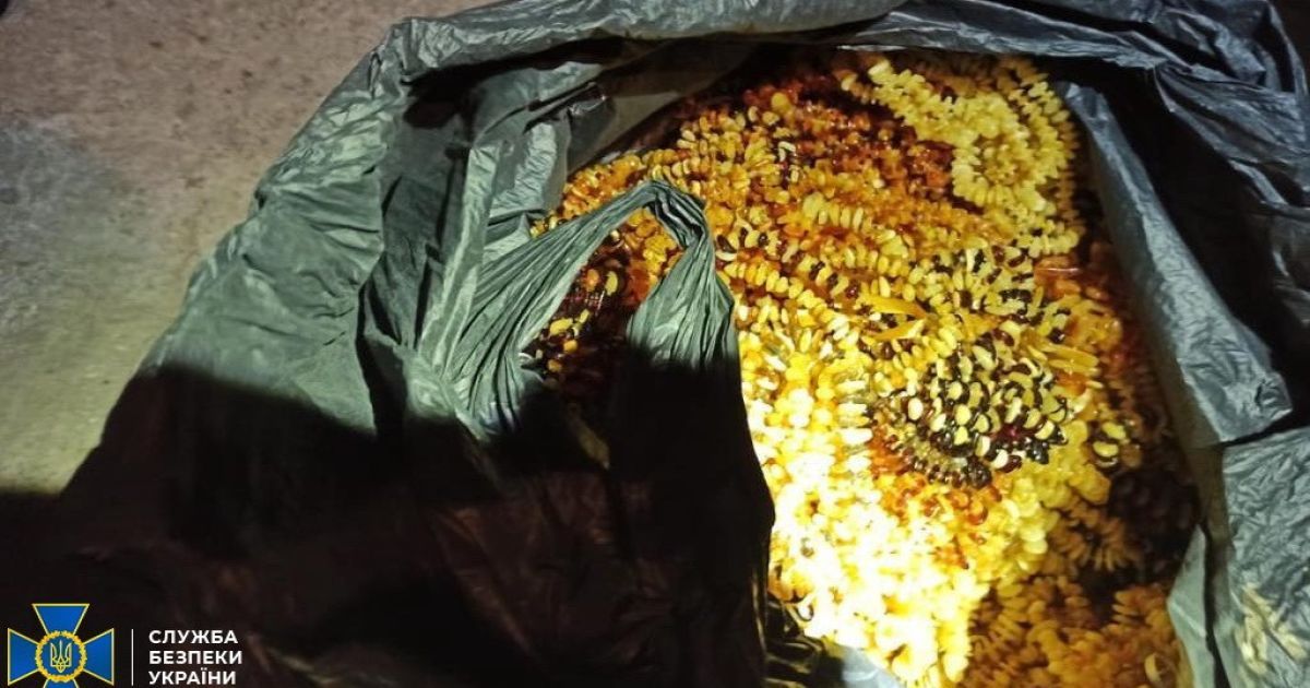 Бурштин контрабанда_6 / © СБУ