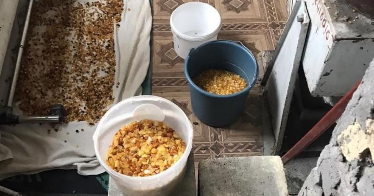 Бурштин контрабанда_2 / © СБУ