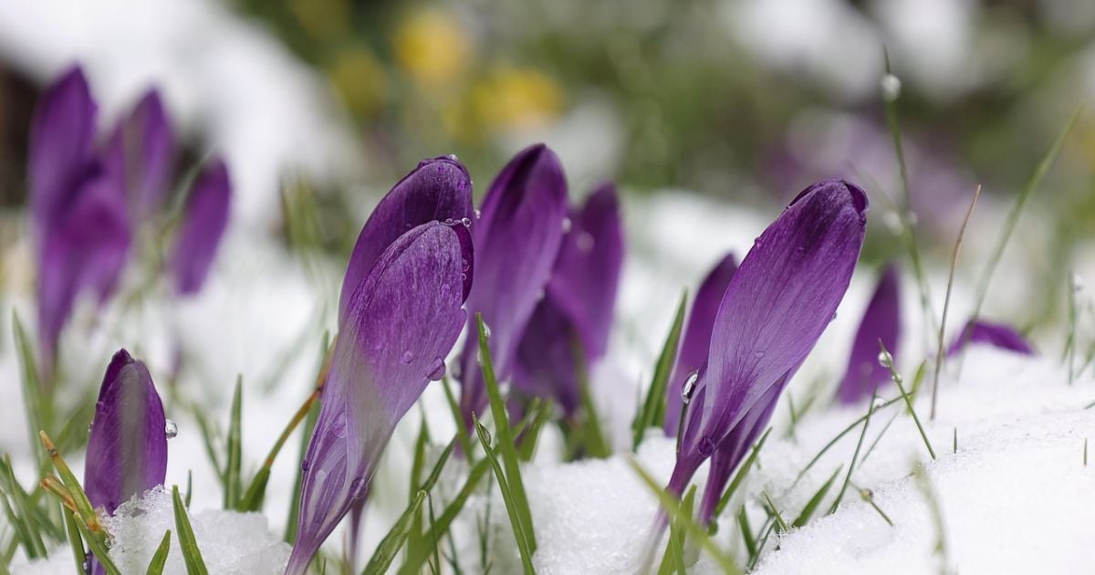 До України йде похолодання