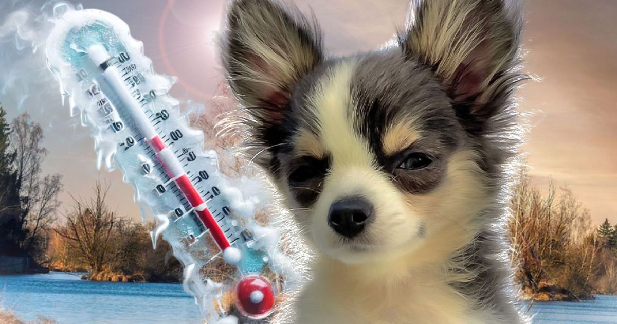 Проноз погоди в Україні на вихідні